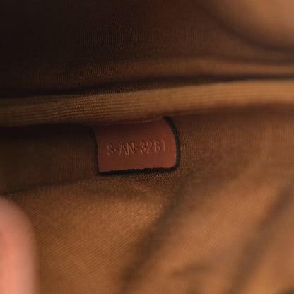Celine Triomphe Canvas Calfskin Mini Folco Backpack Tan 7 of 10