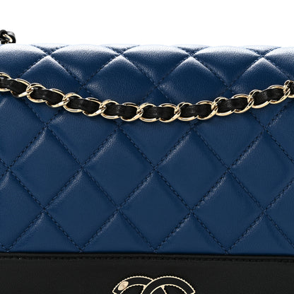 Chanel Sheepskin Quilted Vintage Mademoiselle Flap Blue Black 8 of 16