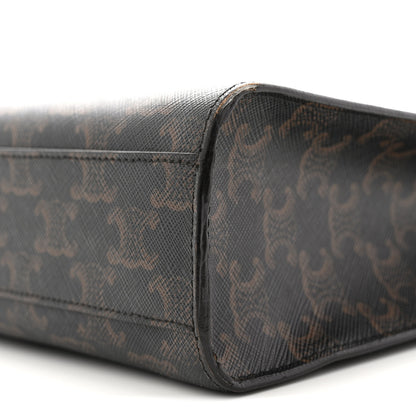 Celine Triomphe Canvas Calfskin Small Vertical Cabas Tan 9 of 12