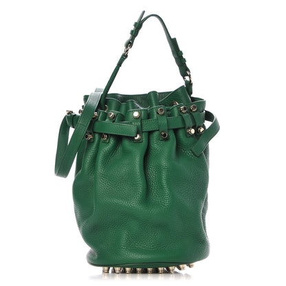 Alexander Wang Pebbled Lambskin Diego Bucket Bag Vine Pale Gold Hardware 1 of 8