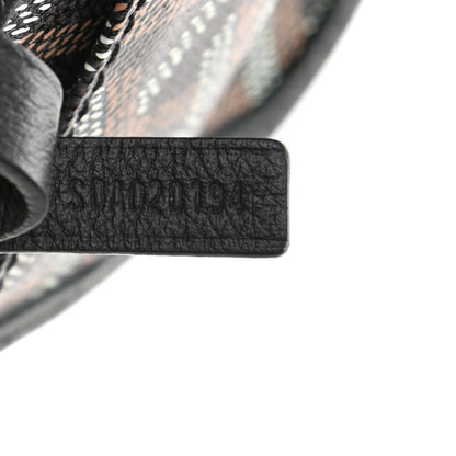 Goyard Goyardine Saint Louis PM Black 7 of 10
