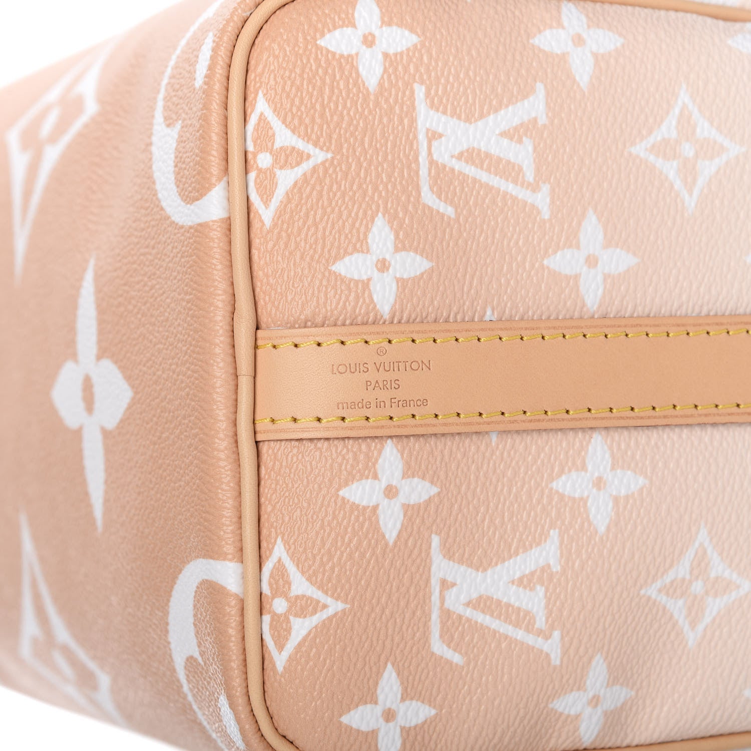 Louis Vuitton Monogram Giant By The Pool Speedy Bandouliere 25 Brume 8 of 11