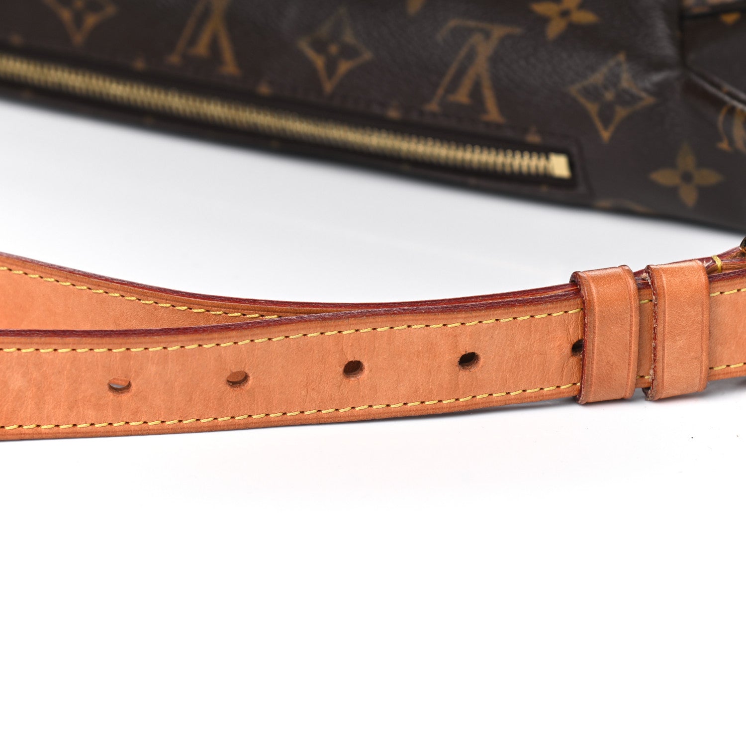 Louis Vuitton Monogram Bumbag 9 of 12