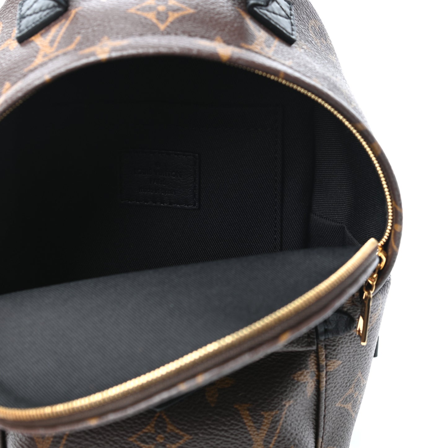 Monogram Palm Springs Backpack Mini
