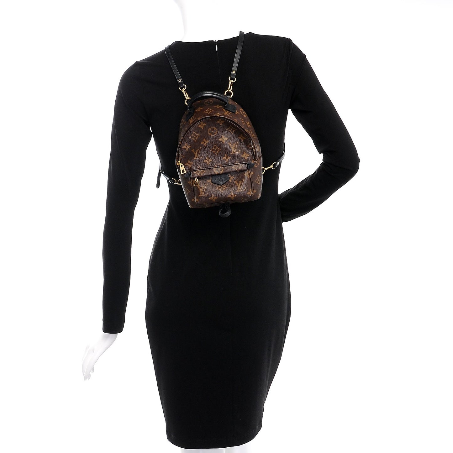 Monogram Palm Springs Backpack Mini