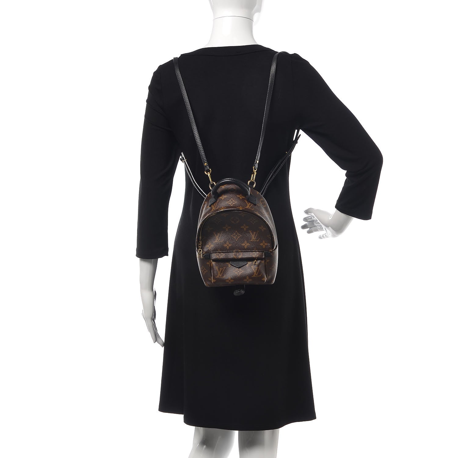 Louis Vuitton Monogram Palm Springs Backpack Mini 2 of 12