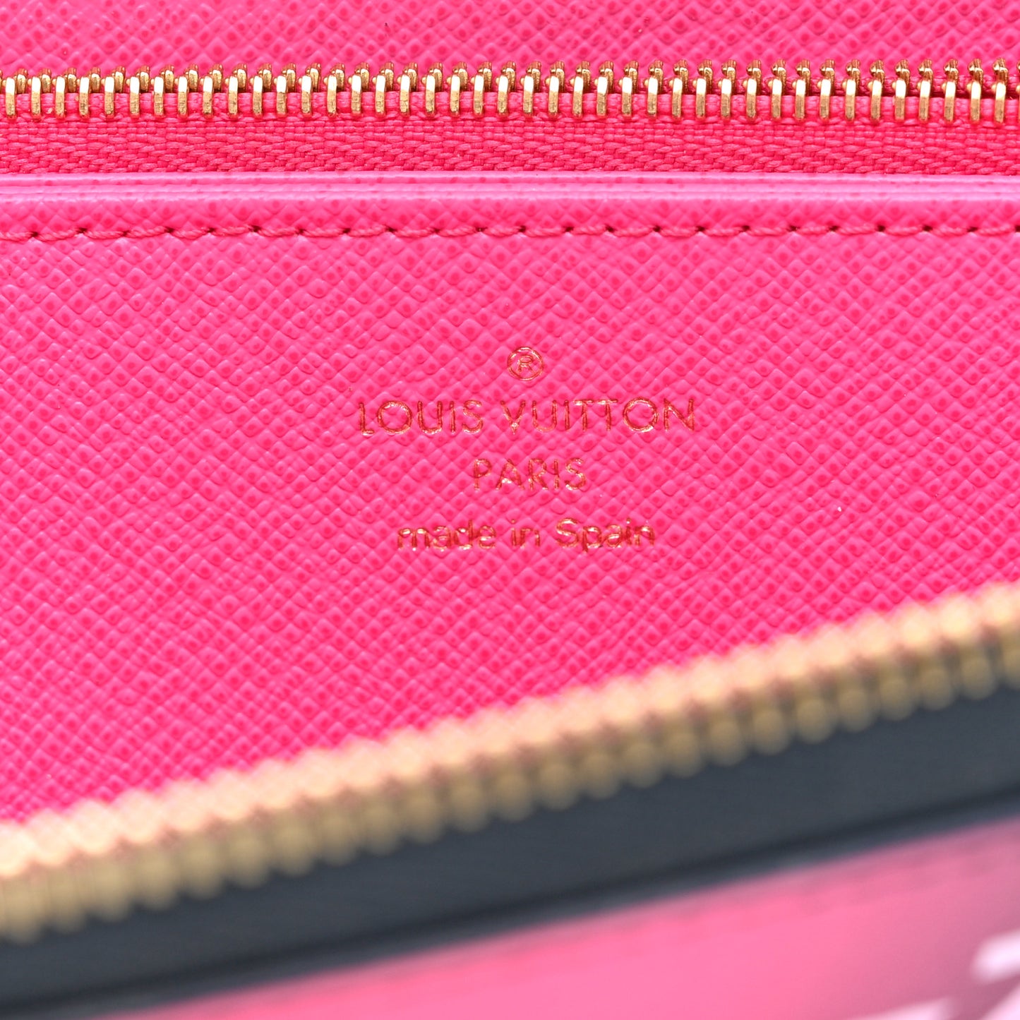 Monogram Giant Spring In The City Zippy Wallet Midnight Fuchsia