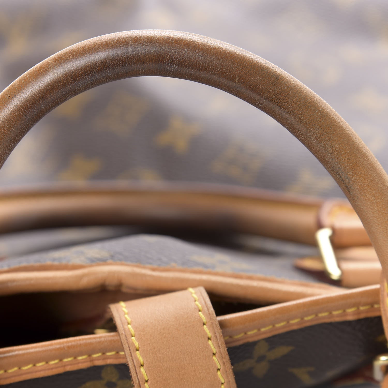 Louis Vuitton Monogram Garment Cover 6 of 10