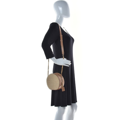 Saint Laurent Raffia Calfskin Small Mica Bag Natural Brown Gold 2 of 12