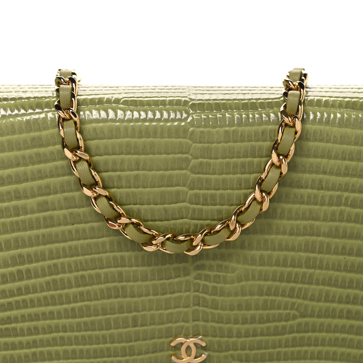 Shiny Lizard Wallet on Chain WOC Green