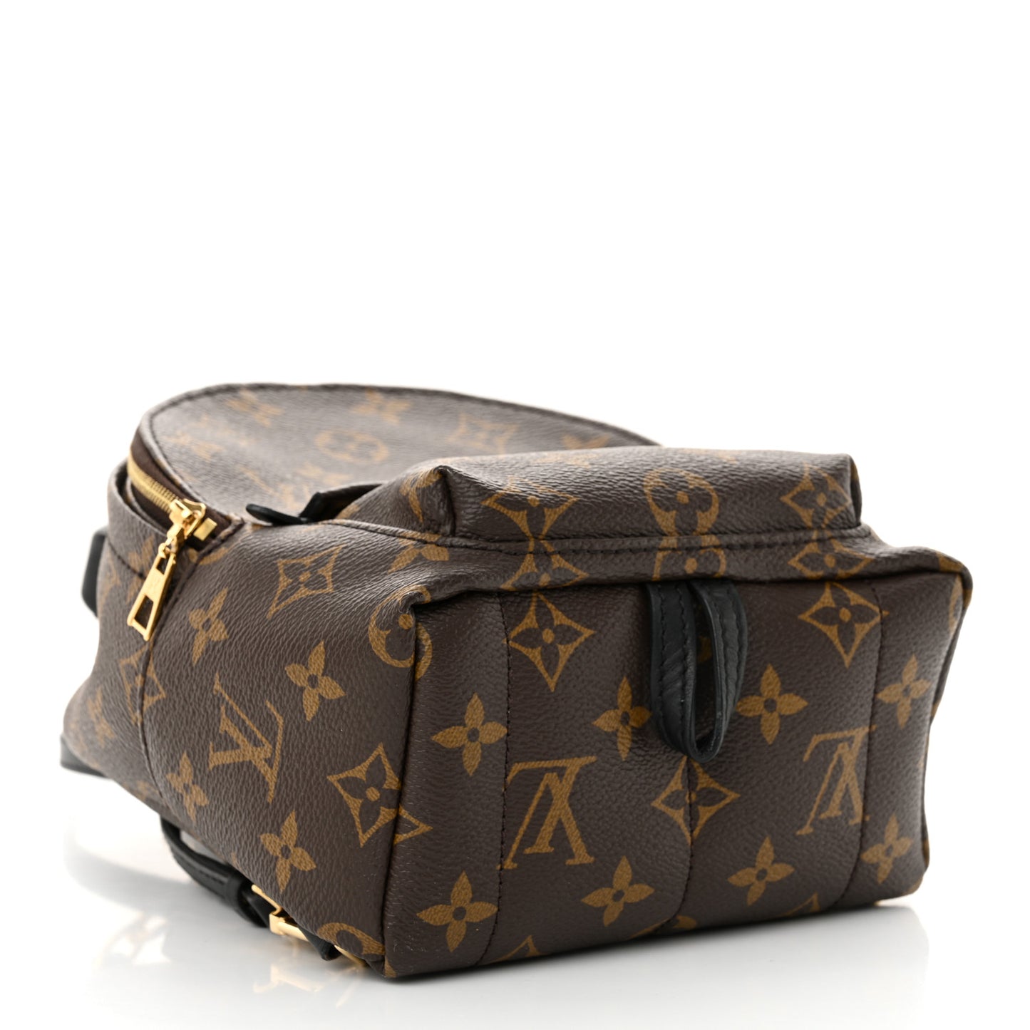 Monogram Palm Springs Backpack Mini