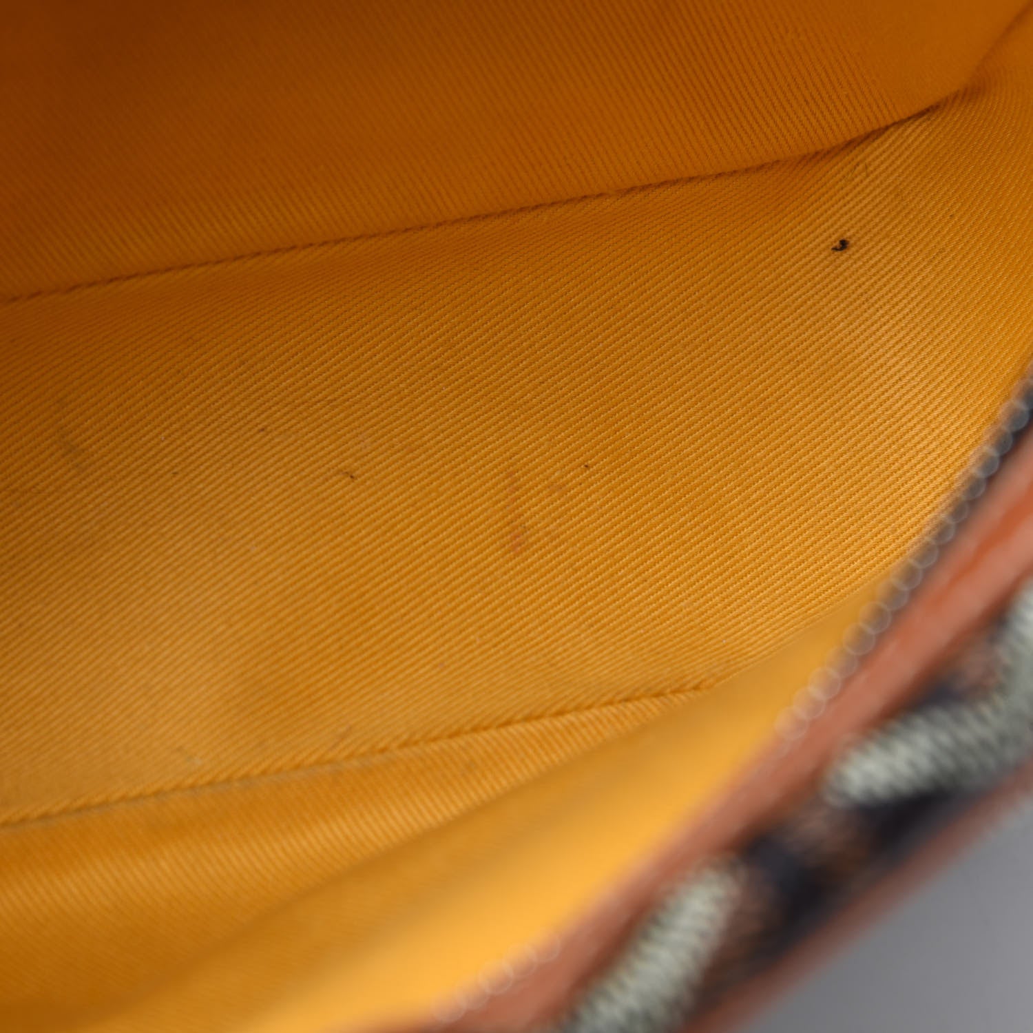 Goyard Goyardine Sac Cap Vert Black Gold 8 of 11