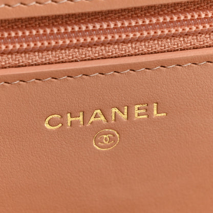 Chanel Aged Calfskin Quilted Reissue Wallet On Chain WOC Beige 6 of 16