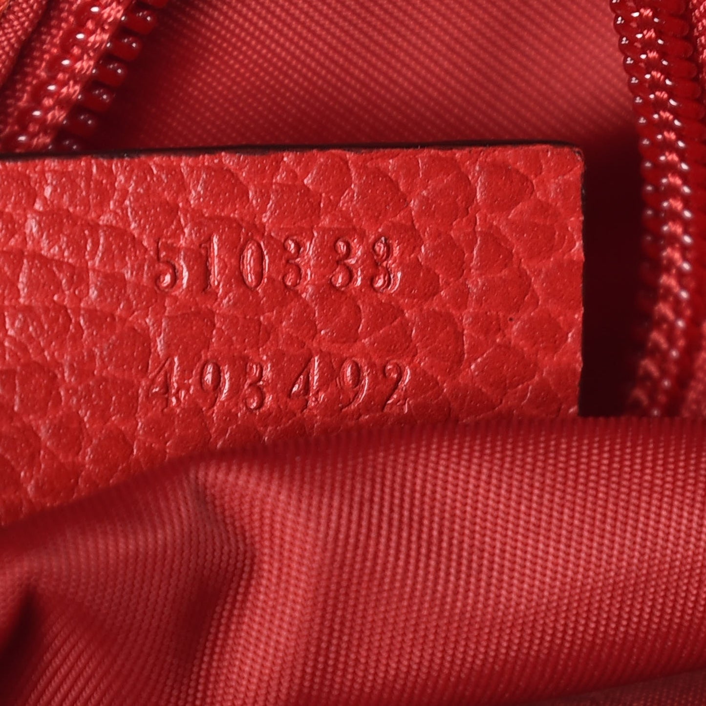 Nylon Monogram Dollar Calfskin Medium Vertical Tote Vibrant Red