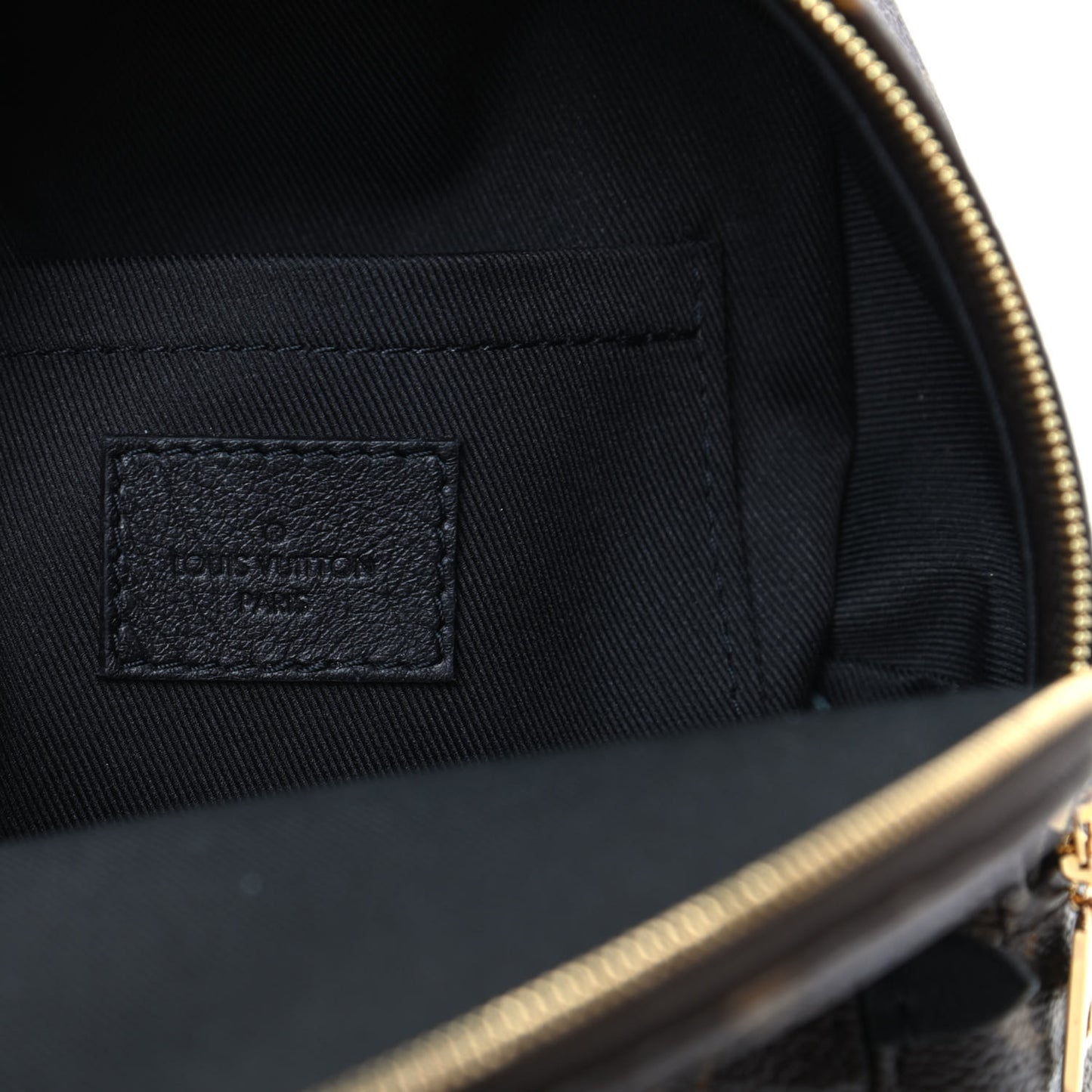 Monogram Palm Springs Backpack Mini