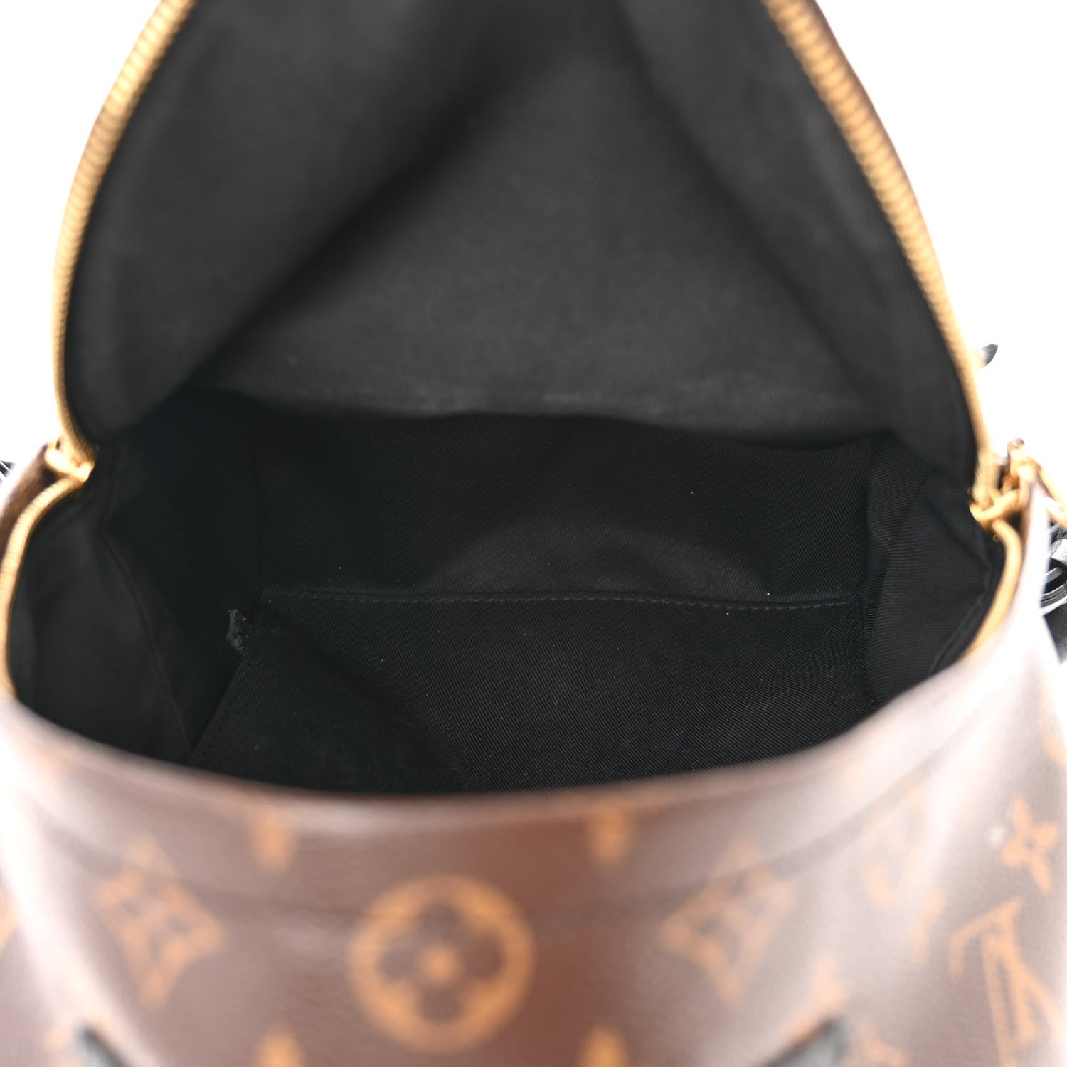 Louis Vuitton Reverse Monogram Palm Springs Backpack PM 5 of 10