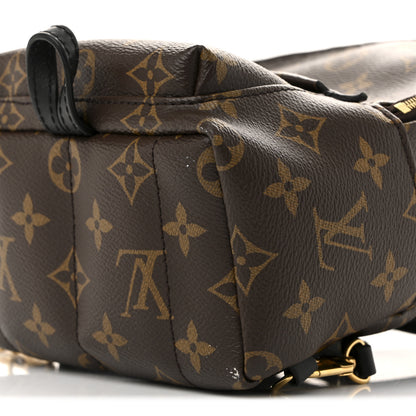 Louis Vuitton Monogram Palm Springs Backpack Mini 9 of 13