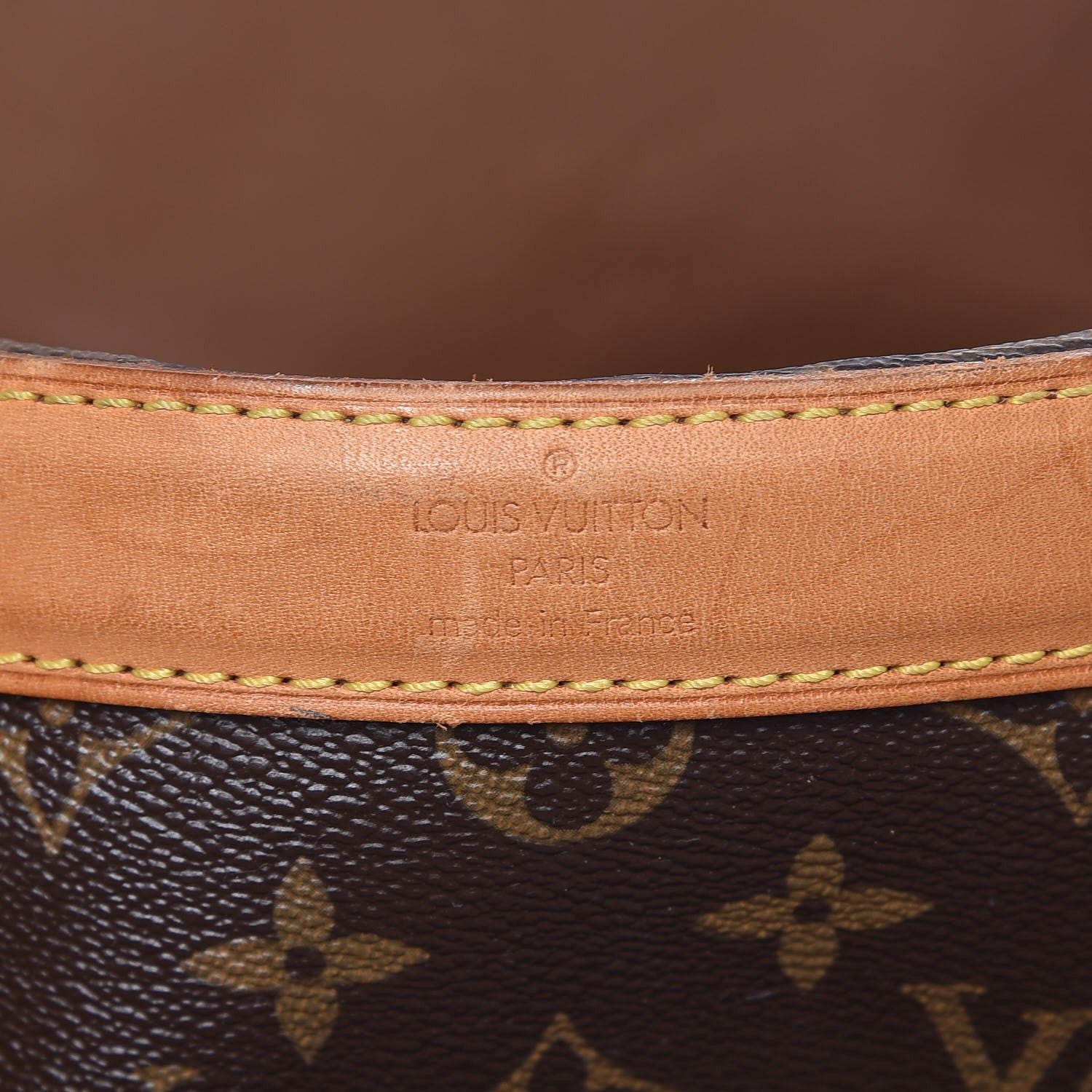 Louis Vuitton Monogram Sac Chien 50 Pet Carrier 6 of 16