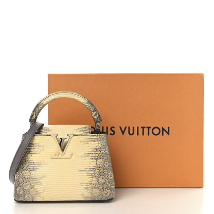 Louis Vuitton Lizard Ombre Capucines Mini Natural 11 of 11