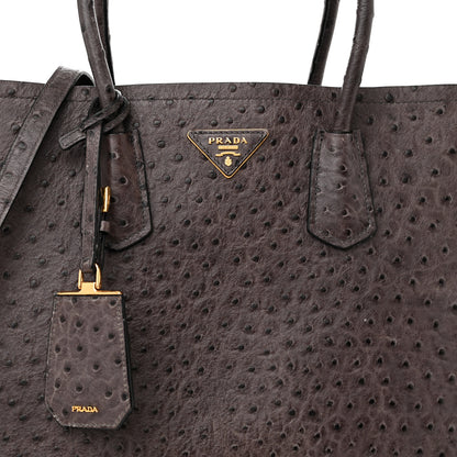 Prada Ostrich Double Bag Grey 7 of 16