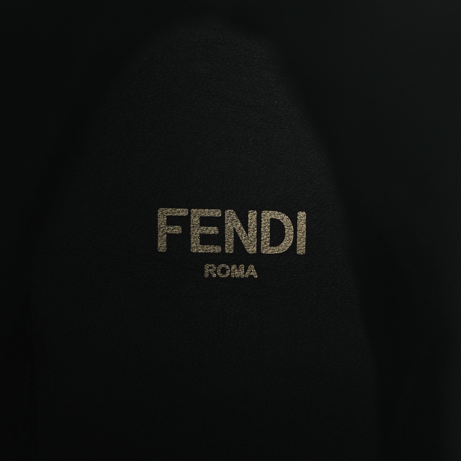 Fendi Vitello Abrasivato Fendigraphy 50mm Biker Boots Black 40 Black 9 of 13