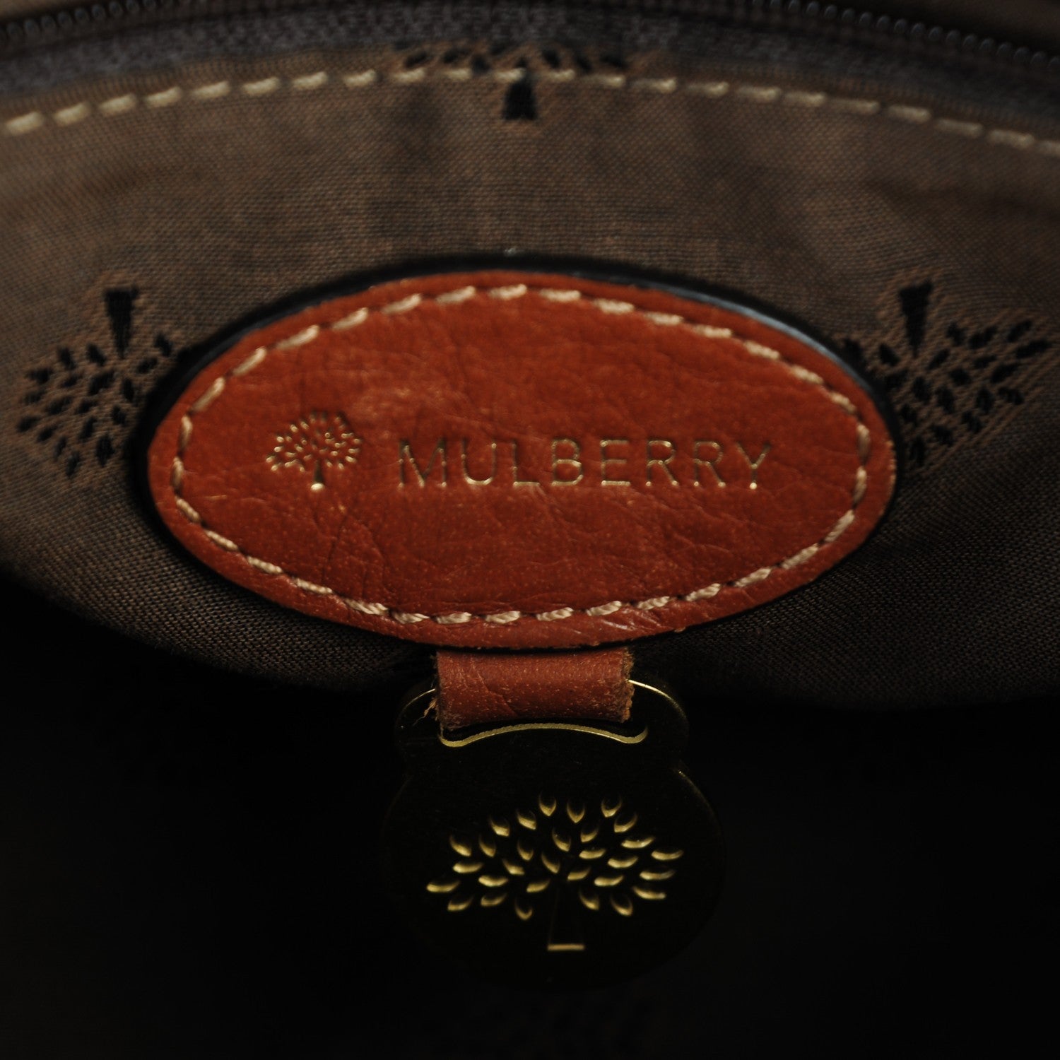Mulberry Soft Buffalo Mini Alexa Oak 6 of 8