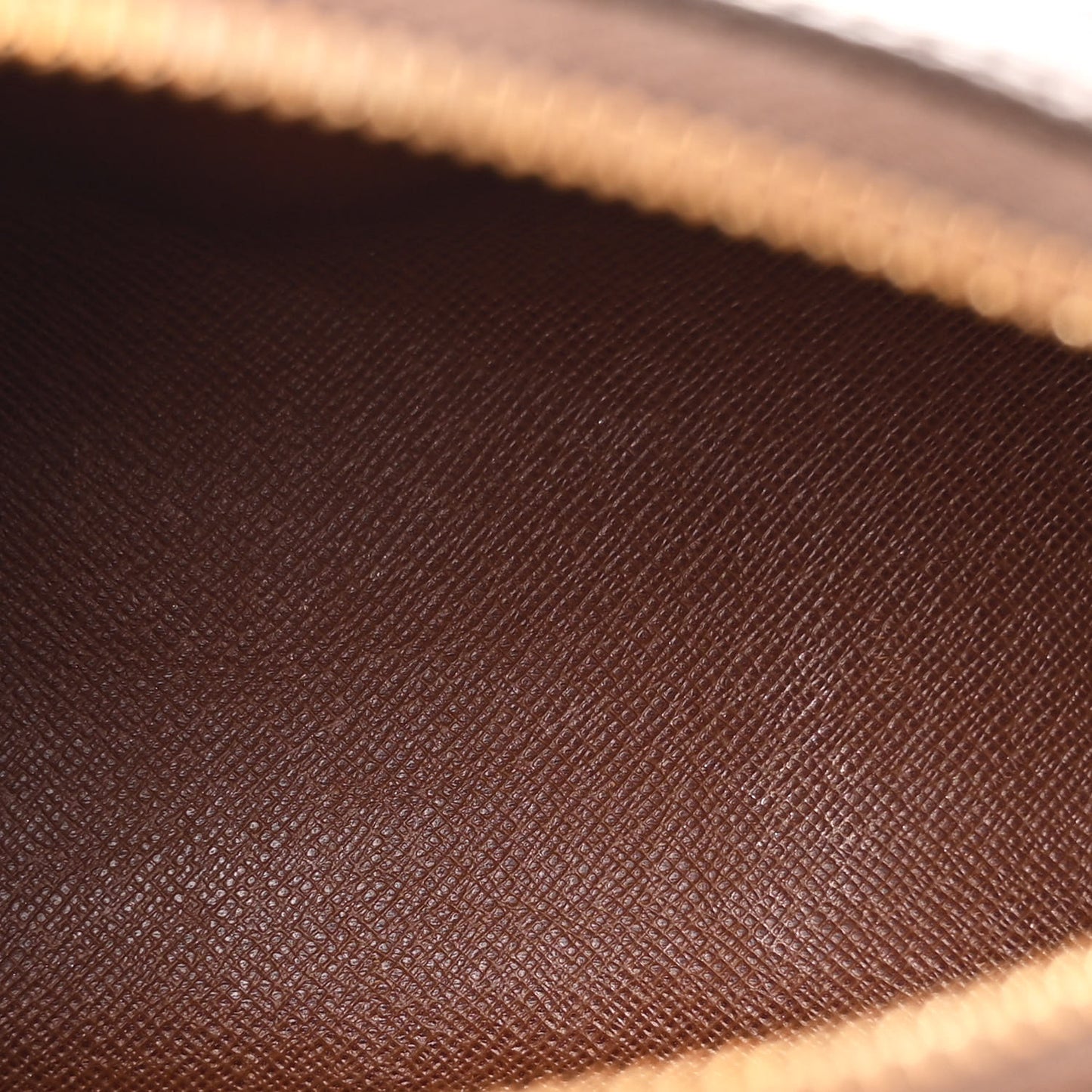 Monogram Papillon 19