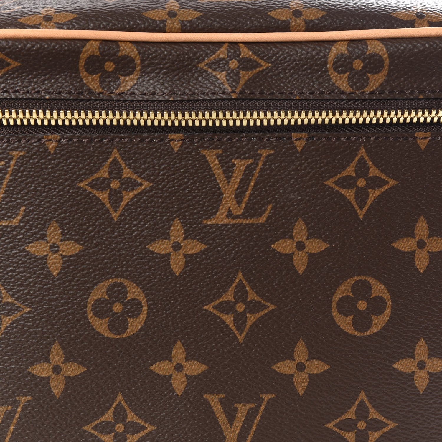 Louis Vuitton Monogram Nice BB 11 of 12