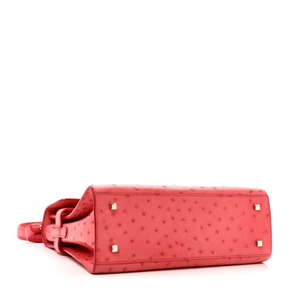 Delvaux Ostrich MM Tempete Satchel Pink 4 of 9