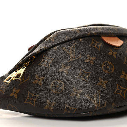 Louis Vuitton Monogram Bumbag 8 of 11