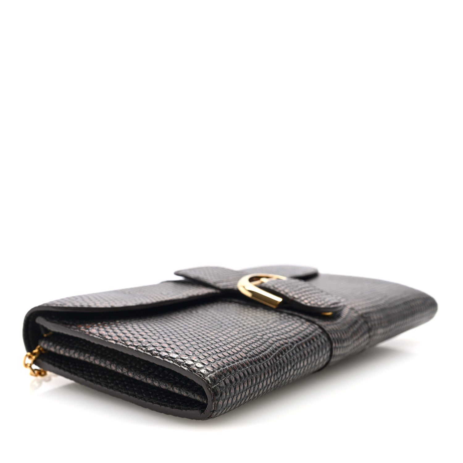 Delvaux Iridescent Lizard Calfskin Brillant Wallet On Chain Ebene Kaki 4 of 9