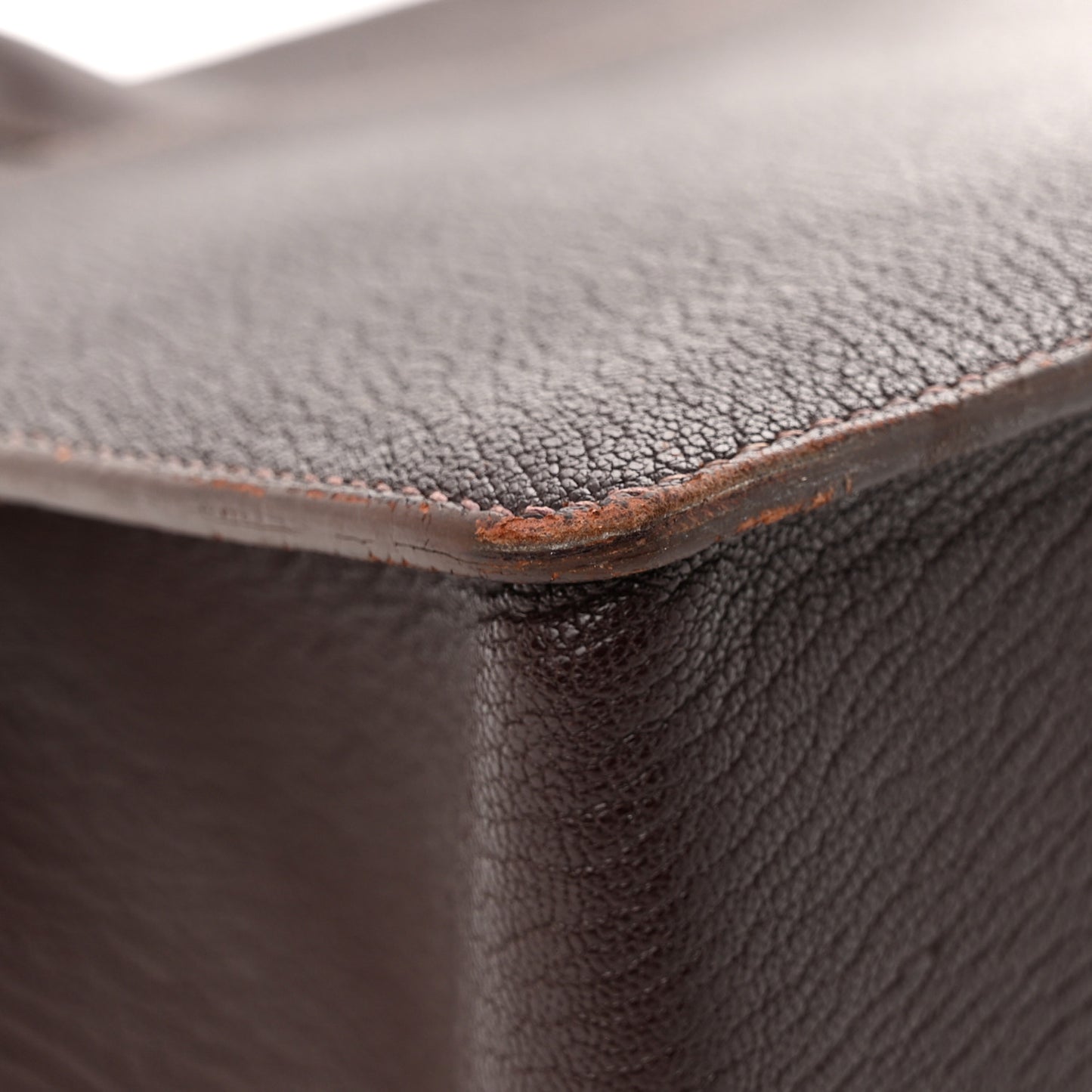 Chevre de Coromandel Whitebus 39 Cocoan