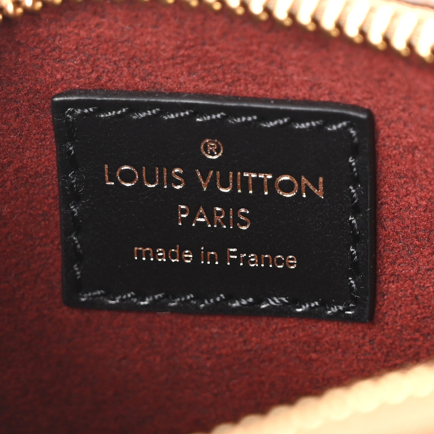 Louis Vuitton Reverse Monogram Dog Animation Nano Speedy 6 of 9