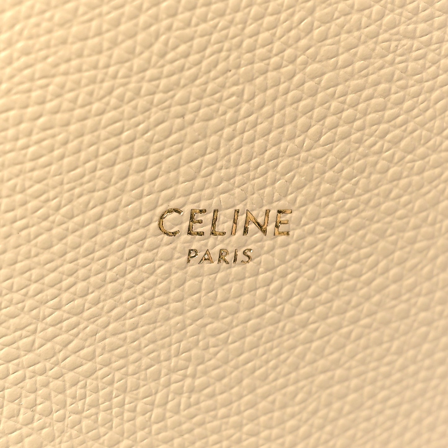 Grained Calfskin Small Vertical Cabas Sand