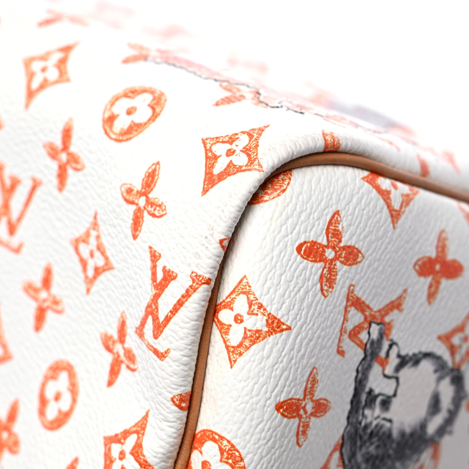 Louis Vuitton Catogram Speedy Bandouliere 30 11 of 17