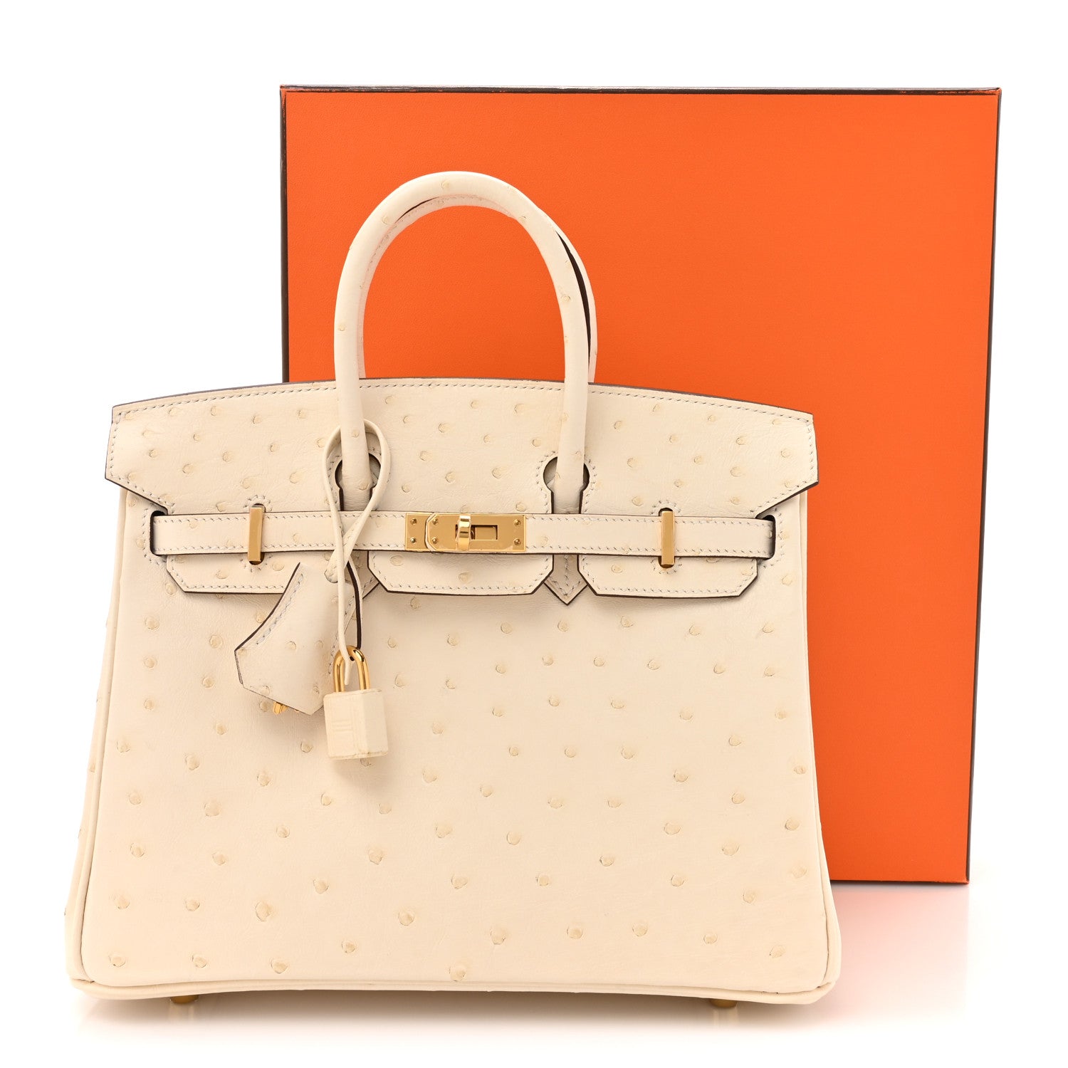 Hermes Ostrich Birkin 25 Nata 12 of 12