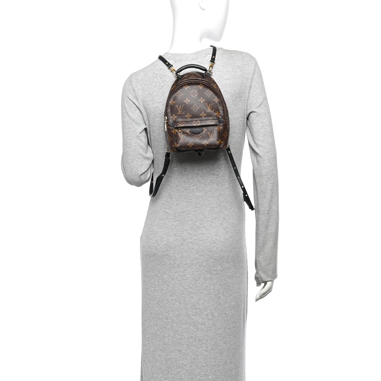 Monogram Palm Springs Backpack Mini