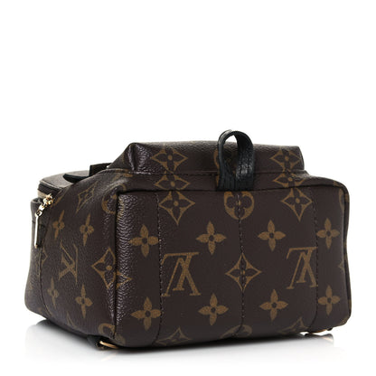 Louis Vuitton Monogram Palm Springs Backpack Mini 4 of 12
