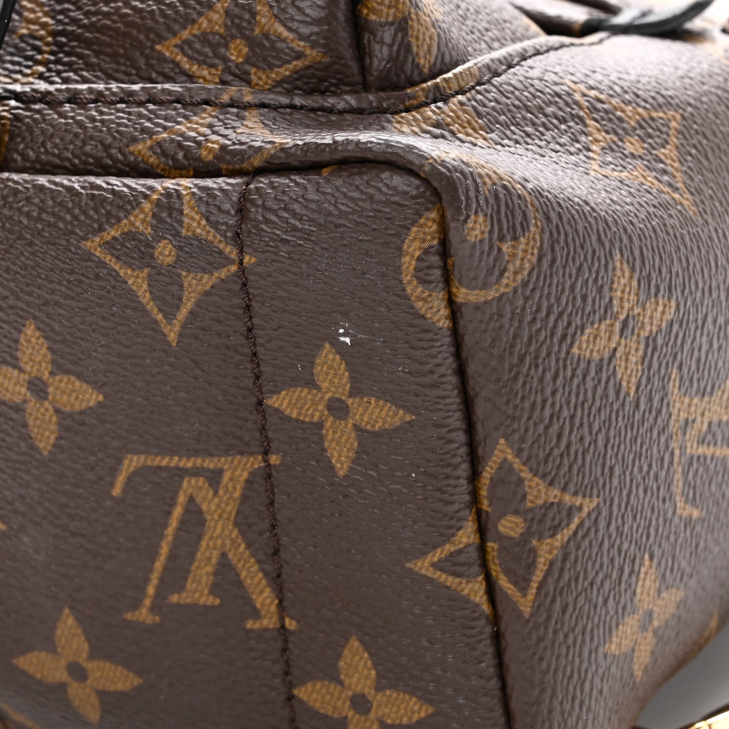 Monogram Palm Springs Backpack Mini