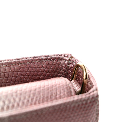 Christian Dior Lizard Gradient Medium Lady D-Joy Light Pink Green 11 of 12