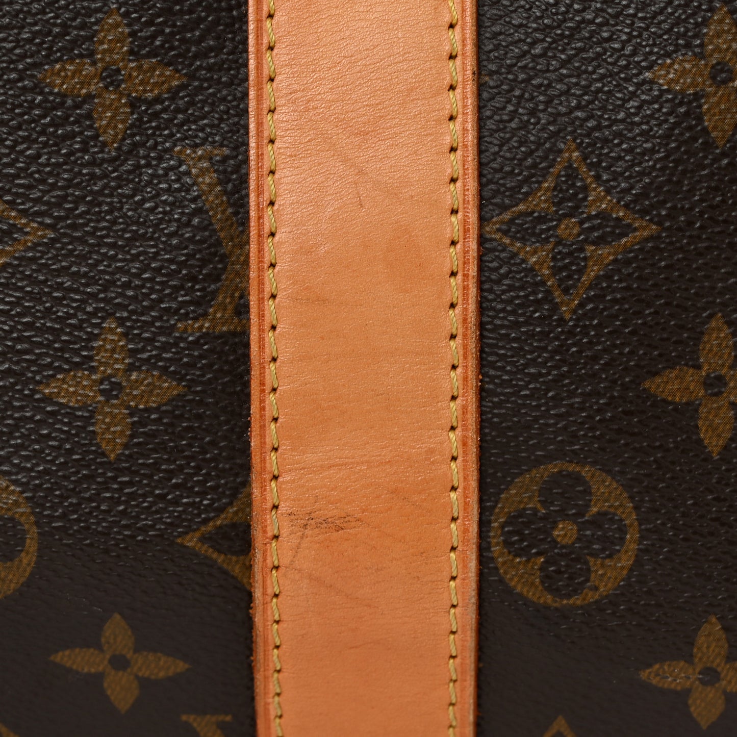 Monogram Carryall