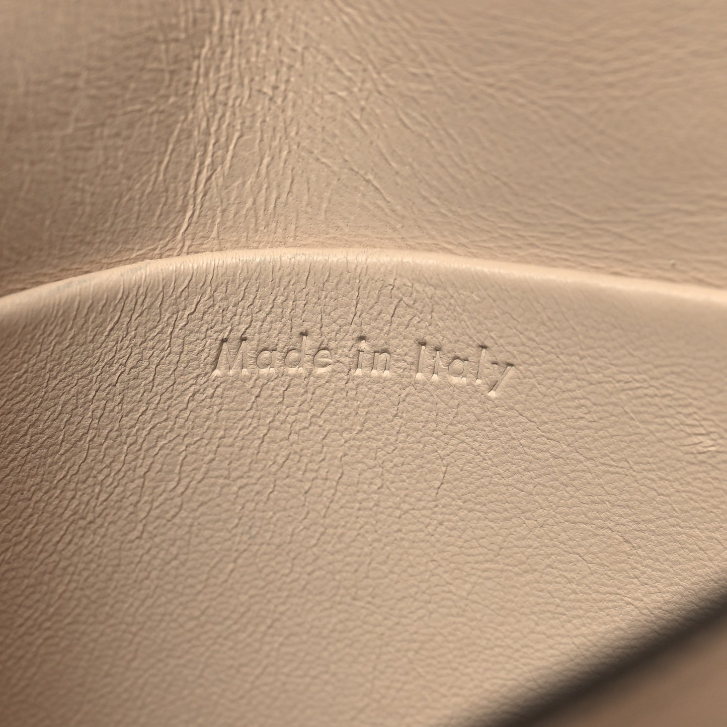 Grained Calfskin Small Trotteur Powder