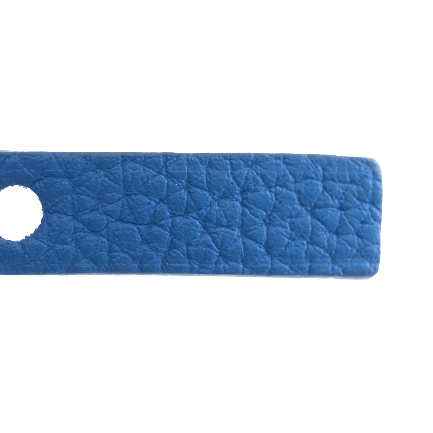Goyard Goyardine Sac Hardy Pet Carrier PM Sky Blue 8 of 12