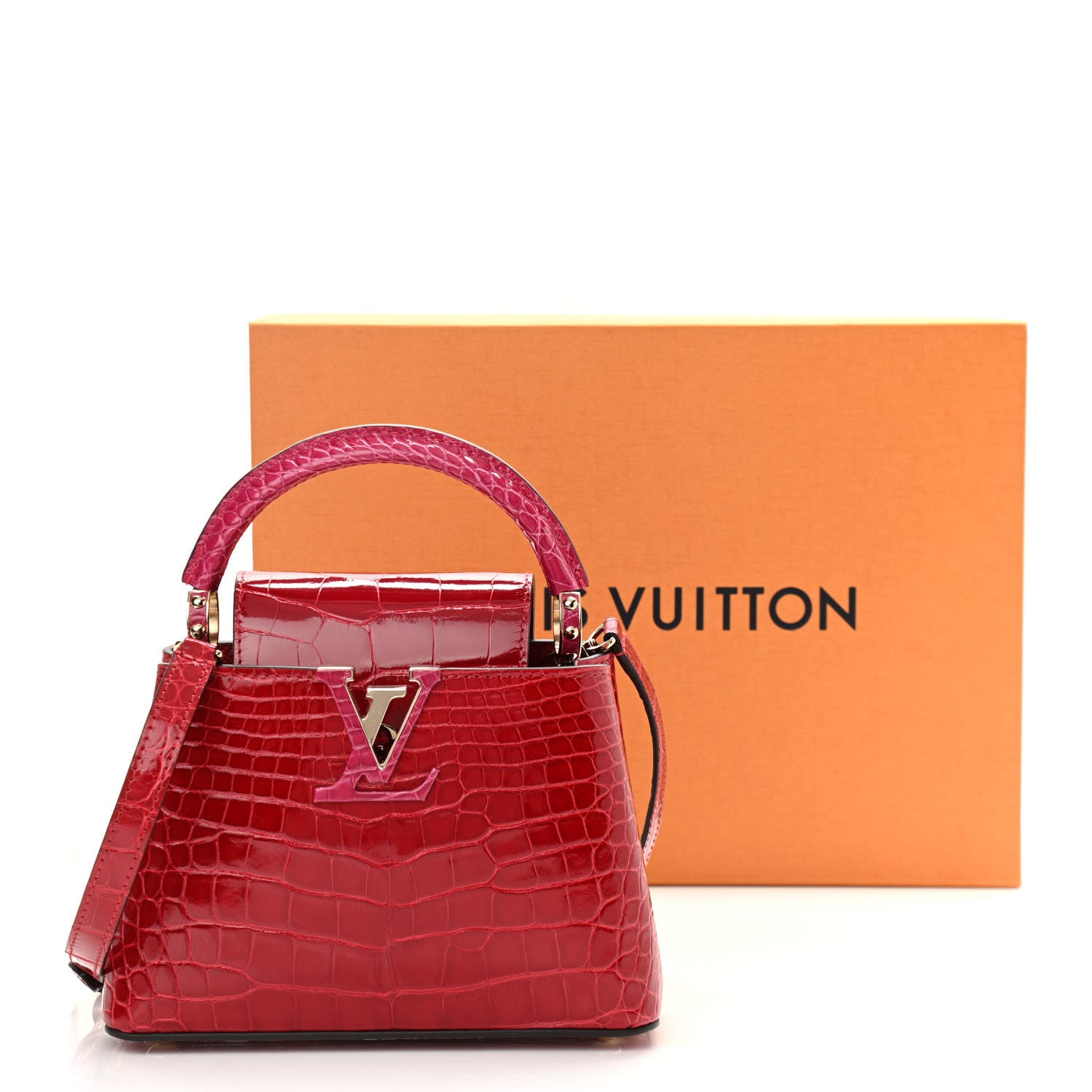 Louis Vuitton Crocodile Mini Capucines Rubis 9 of 9