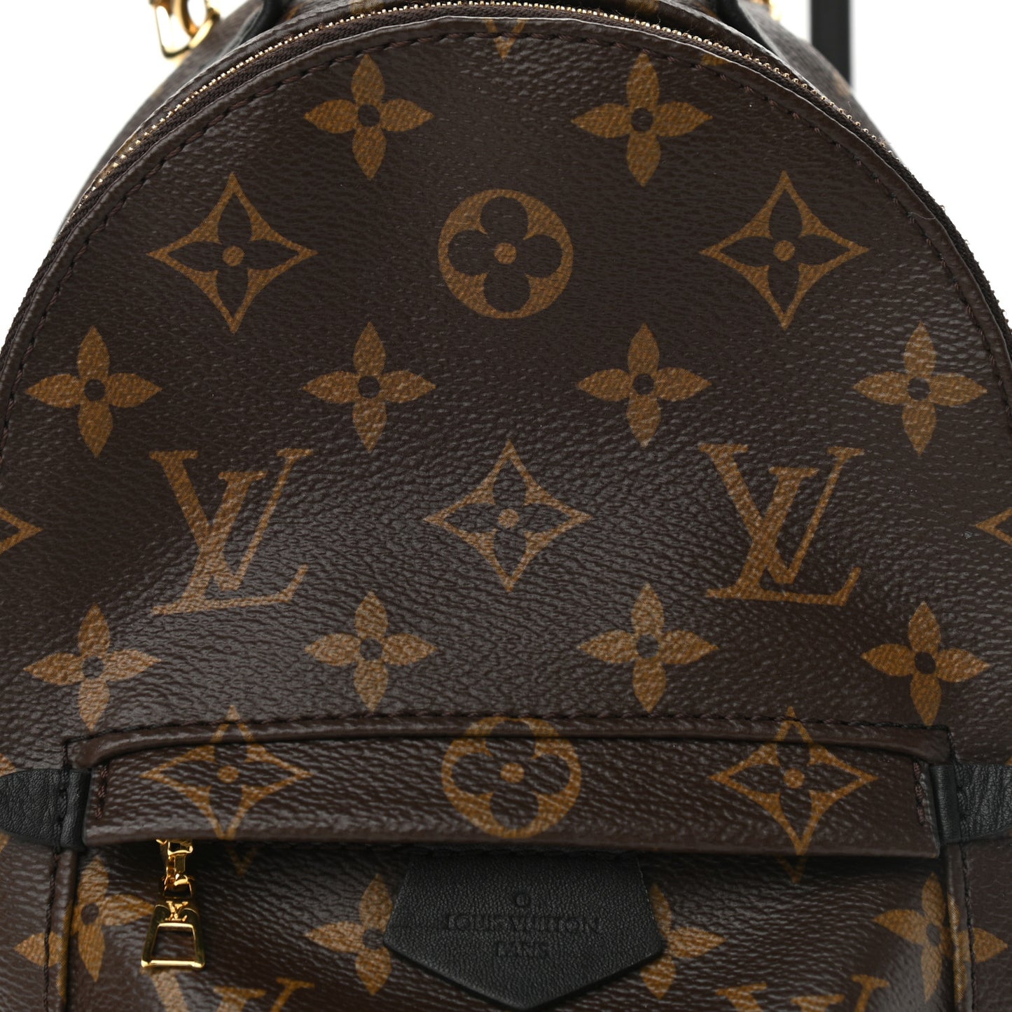 Monogram Palm Springs Backpack Mini