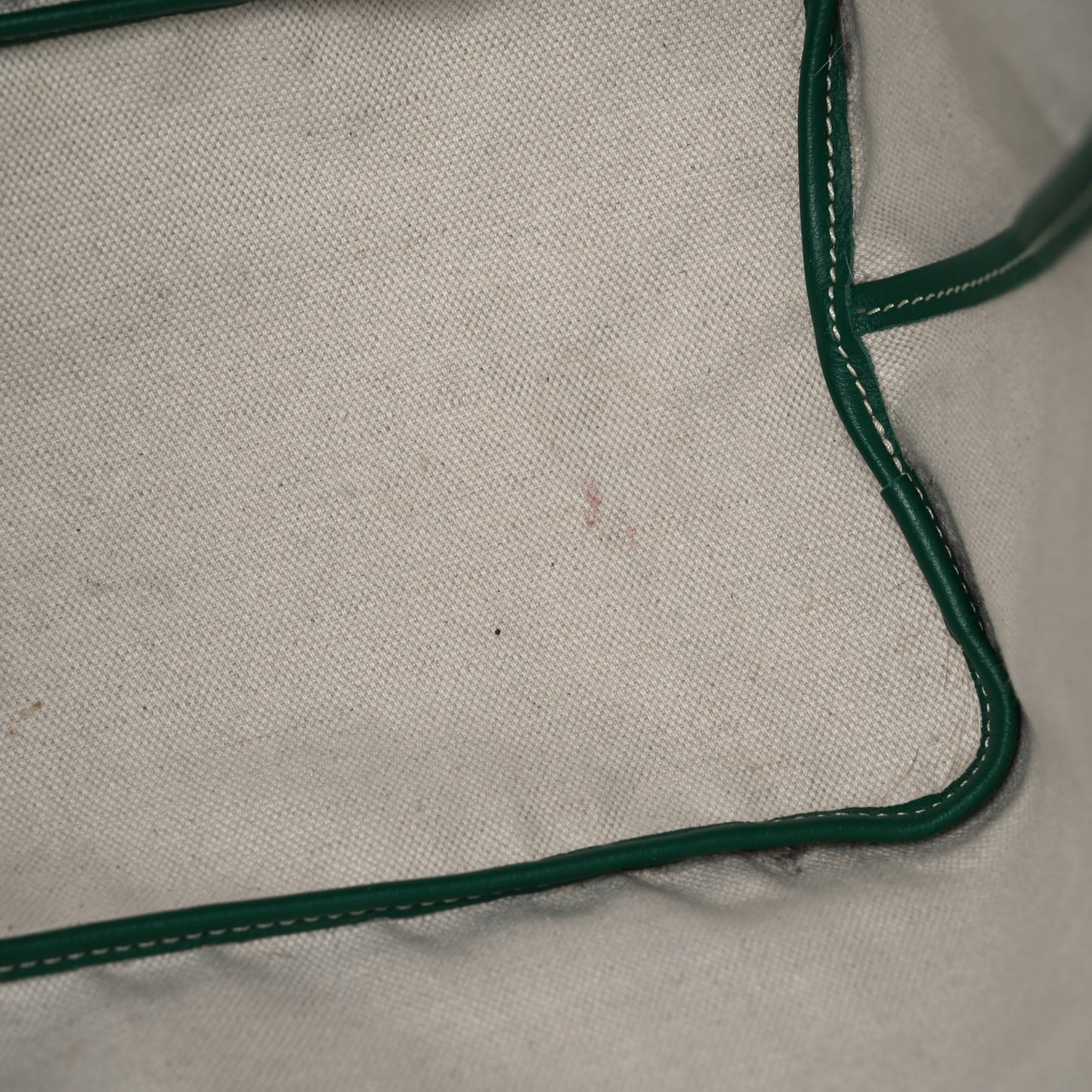 Goyardine Saint Louis PM Green