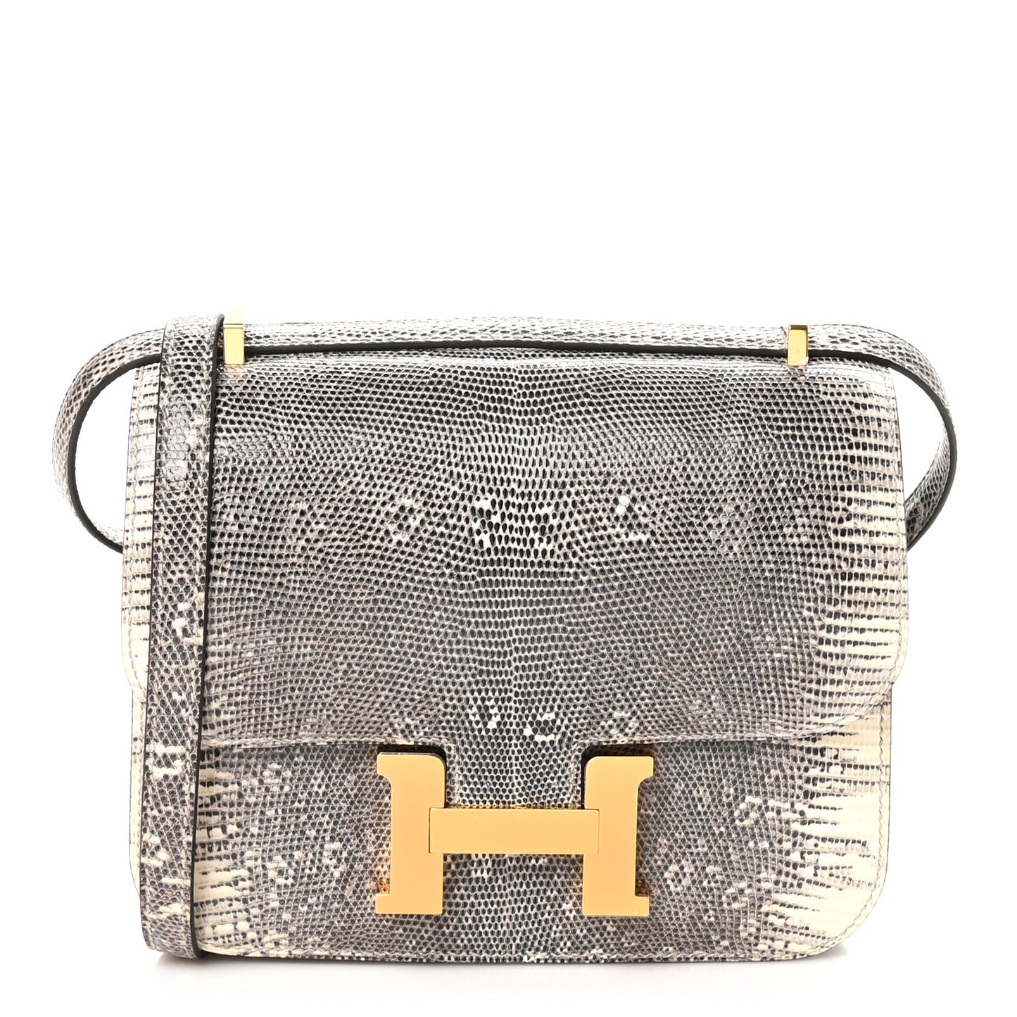 Lizard Constance 18 Ombre