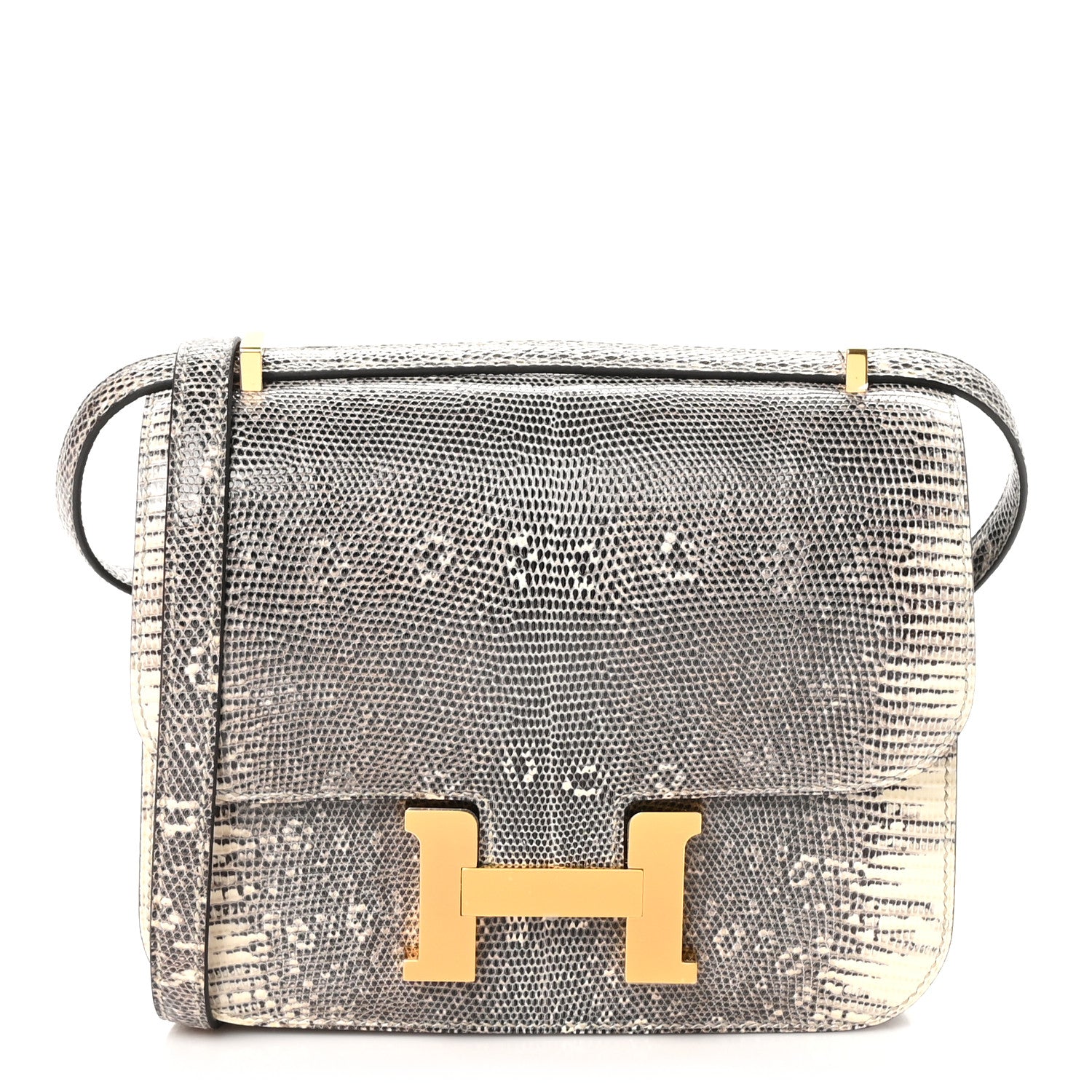 Hermes Lizard Constance 18 Ombre 1 of 13