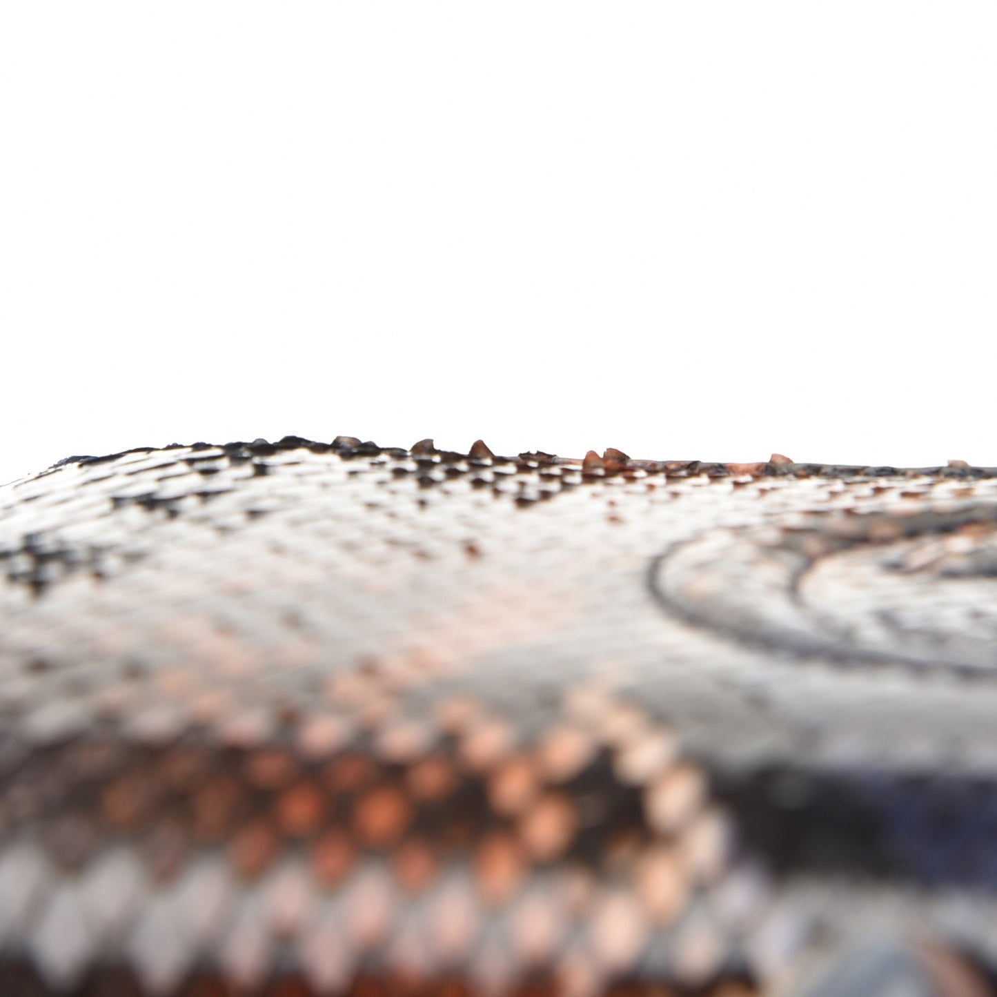 Python Soho Zip Around Wallet Blue Sienna