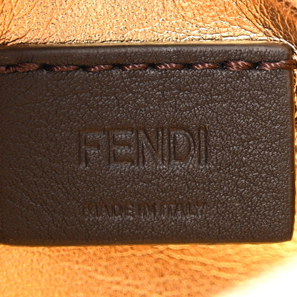 Fendi Vitello Grace Matte Nano Fendigraphy Hobo Charm Light Rose 6 of 13